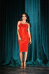 Vestido Las Rosas